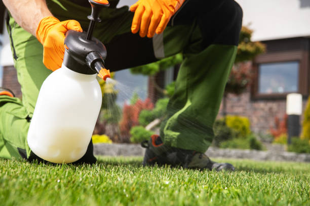 Best Emergency Pest Control  in Sutherland, NE