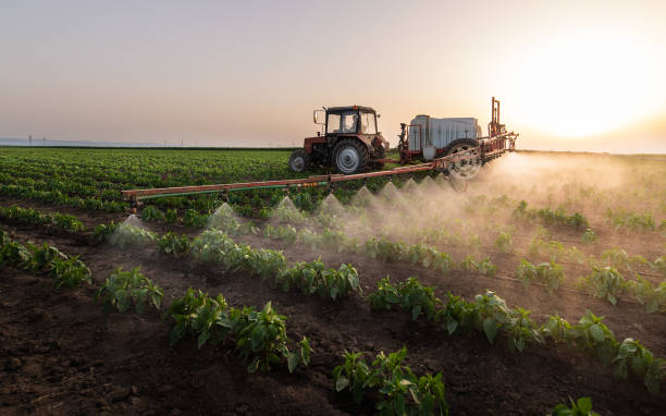 Best Pest Control Near Me  in Sutherland, NE