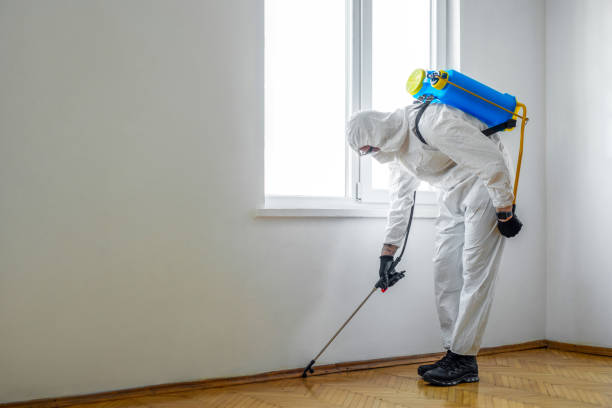 Best Pest Removal Services  in Sutherland, NE