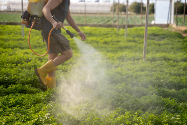 Best Pest Inspection Near Me  in Sutherland, NE