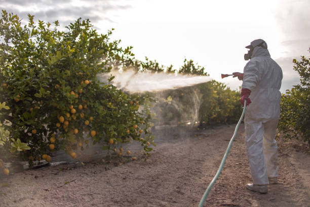 Best Flea Control Services  in Sutherland, NE
