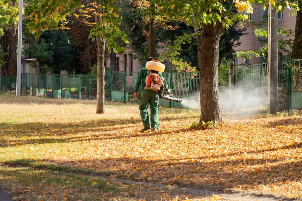Reliable Sutherland, NE Pest Control Solutions