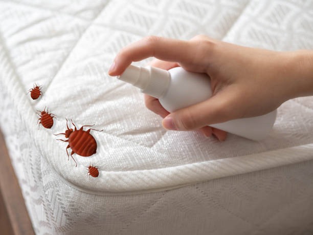 Best Termite Control Services  in Sutherland, NE