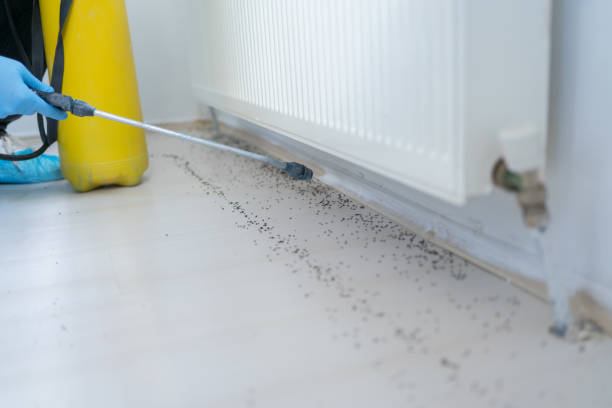 Best Rat Extermination Near Me  in Sutherland, NE