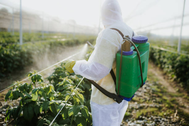 Best Cockroach Control Services  in Sutherland, NE